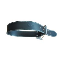 Zgarda Pentru Caini P Nr. 5, Negru 4.0/63 cm - 1