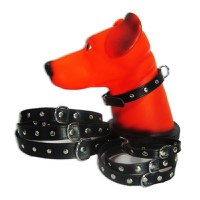 Zgarda Pet Expert Capse 1,2x33 Cm Negru Nr.1 - 1