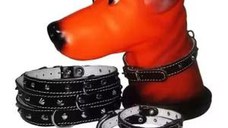 Zgarda Pet Expert Capse 1,4x37 cm