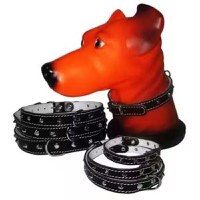 Zgarda Pet Expert Capse 1,4x37 cm - 1