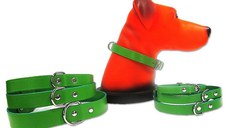 Zgarda Pet Expert Clasic 2,5x55 Cm Verde Nr.6