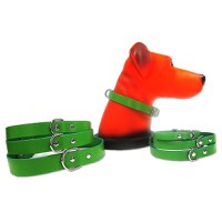 Zgarda Pet Expert Clasic 2,5x55 Cm Verde Nr.6 - 1