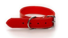 Zgarda Piele Pentru Caini Dublata Cu Chinga 40mm Nr.6 Rosie