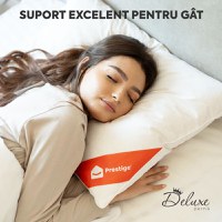 Pernă Deluxe cu pene și puf de gâscă, husă bumbac, 50x70 cm - 5