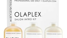 Olaplex Kit pentru salon Intro: Bond Multiplier Nr. 1 525ml + 2 x Bond Perfector Nr. 2 525ml