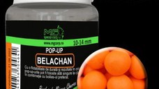 Pop-Up Belachan 10-14mm