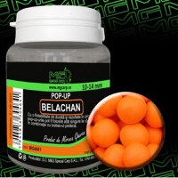 Pop-Up Belachan 10-14mm - 1