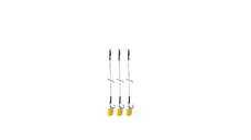 Set porkarpfishing cu 3 carlige legate echilibrate cu porumb flotant siliconat