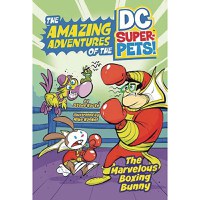 DC Super Pets Marvelous Boxing Bunny - 1