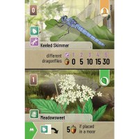 Forest Shuffle - Dartmoor - 3