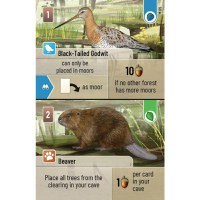 Forest Shuffle - Dartmoor - 2