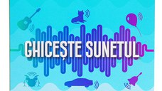 Ghiceste sunetul (limba romana)
