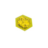 Landscape Counters Hexagonal - Sant - 1