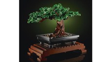 Lego Bonsai 10281