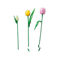 Lego Botanical - Buchet de lalele 11501 - 5