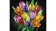 Lego Botanical - Buchet de lalele 11501