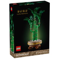 Lego Botanicals Bambus Norocos 10344 - 1