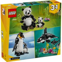 Lego Creator Animale Salbatice - Familia de Ursi Panda 31165 - 3