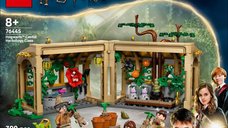 LEGO Harry Potter 76445 - Castelul Hogwarts: Lectia de ierbologie