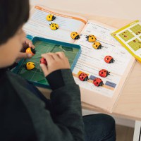 Logibugs (editie internationala) - 3