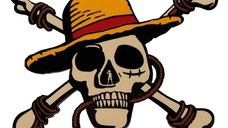 Medalion One Piece - Jolly Roger Limited Edition