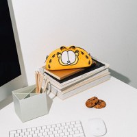Penar din Plus Garfield - 3