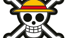 Perna One Piece - Jolly Roger 33 cm