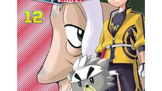 Pokemon Sword & Shield GN Vol 12