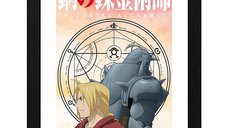 Poster cu Rama Fullmetal Alchemist - Elric Brothers (30x40)
