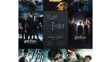Poster Harry Potter Maxi - 91.5x61 cm - GB eye Collection