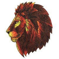 Puzzle din Lemn Multicolorat - Leu, 121 piese - 2