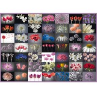 Puzzle Floral Greeting 2000 - 2