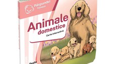 Raspundel Istetel Carte Animale Domestice