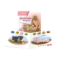 Raspundel Istetel Carte Animale Domestice - 2