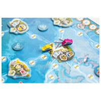 Reef Project - 5
