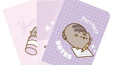 Set 3 Notebooks A5 Pusheen Moments