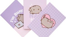 Set 3 Notebooks A6 Pusheen Moments