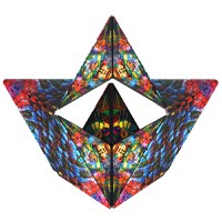 Shashibo - The Chameleon - 3