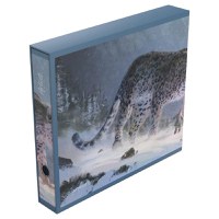 Ultimate Guard Album'n'Case Artist Edition 01 Mael Ollivier-Henry - The Hunters' Quest - 1