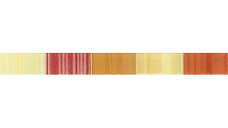 Brau decorativ faianta baie / bucatarie Forma T-317 Rojo  3 x 31.6