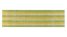 Brau decorativ faianta baie / bucatarie Textline Green  7 x 25