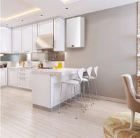 Centrala termica murala Ariston HS Premium 24 KW EU + kit evacuare inclus - 4