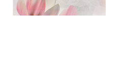 Faianta decorativa 1002 HL 1  20 x 60