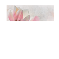 Faianta decorativa 1002 HL 1  20 x 60 - 1