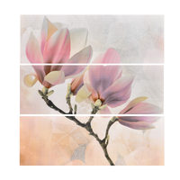 Faianta decorativa 1002 HL 1  20 x 60 - 2