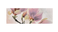 Faianta decorativa 1002 HL 2  20 x 60