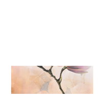 Faianta decorativa 1002 HL 3  20 x 60 - 1