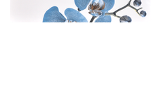 Faianta decorativa 1015 HL 1  20 x 60