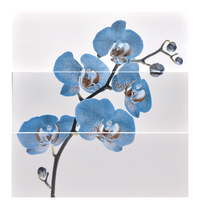Faianta decorativa 1015 HL 3  20 x 60 - 2