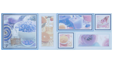 Faianta decorativa 1022 HL 3  20 x 60
